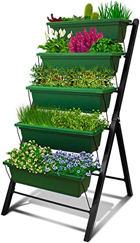 Planters with Stand to Grow Vegetables & Herbs in the Garage