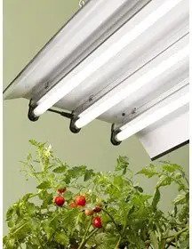 Artificial Lighting for Indoor Plants & Vegetables