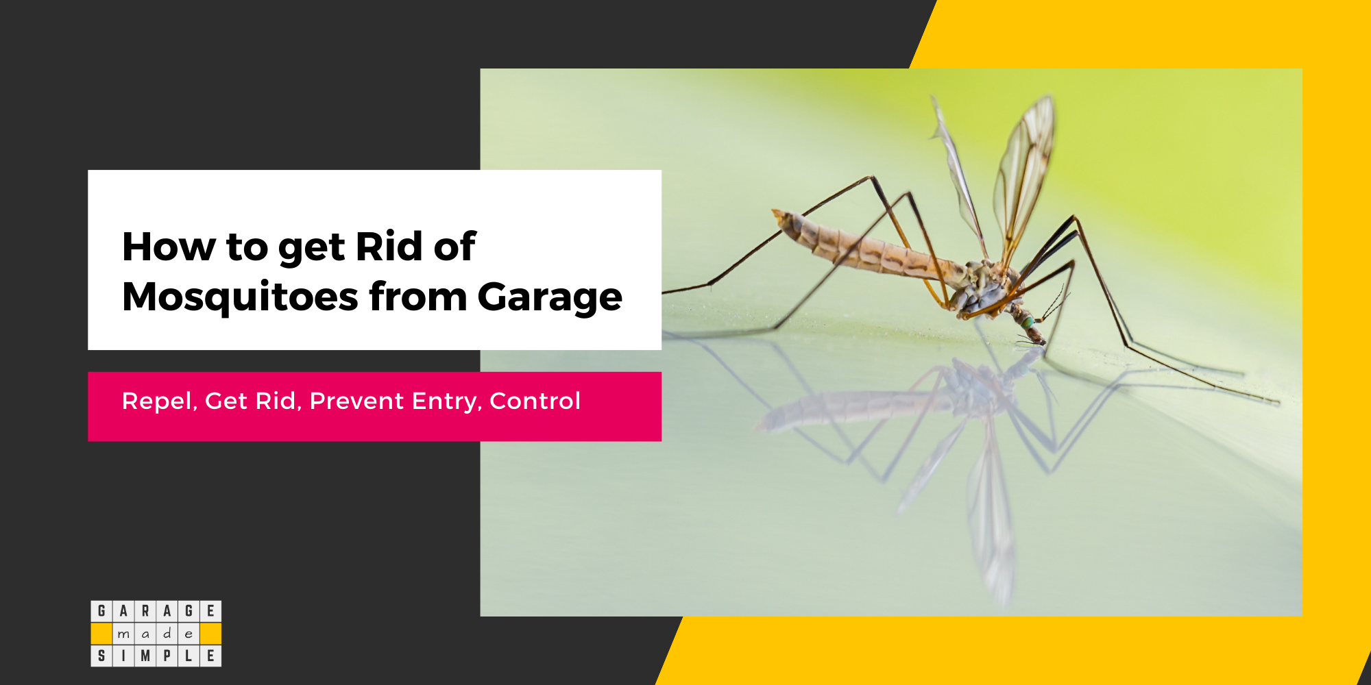 How To Get Rid of Mosquitoes In Your Garage? (7 Effective Ways!)