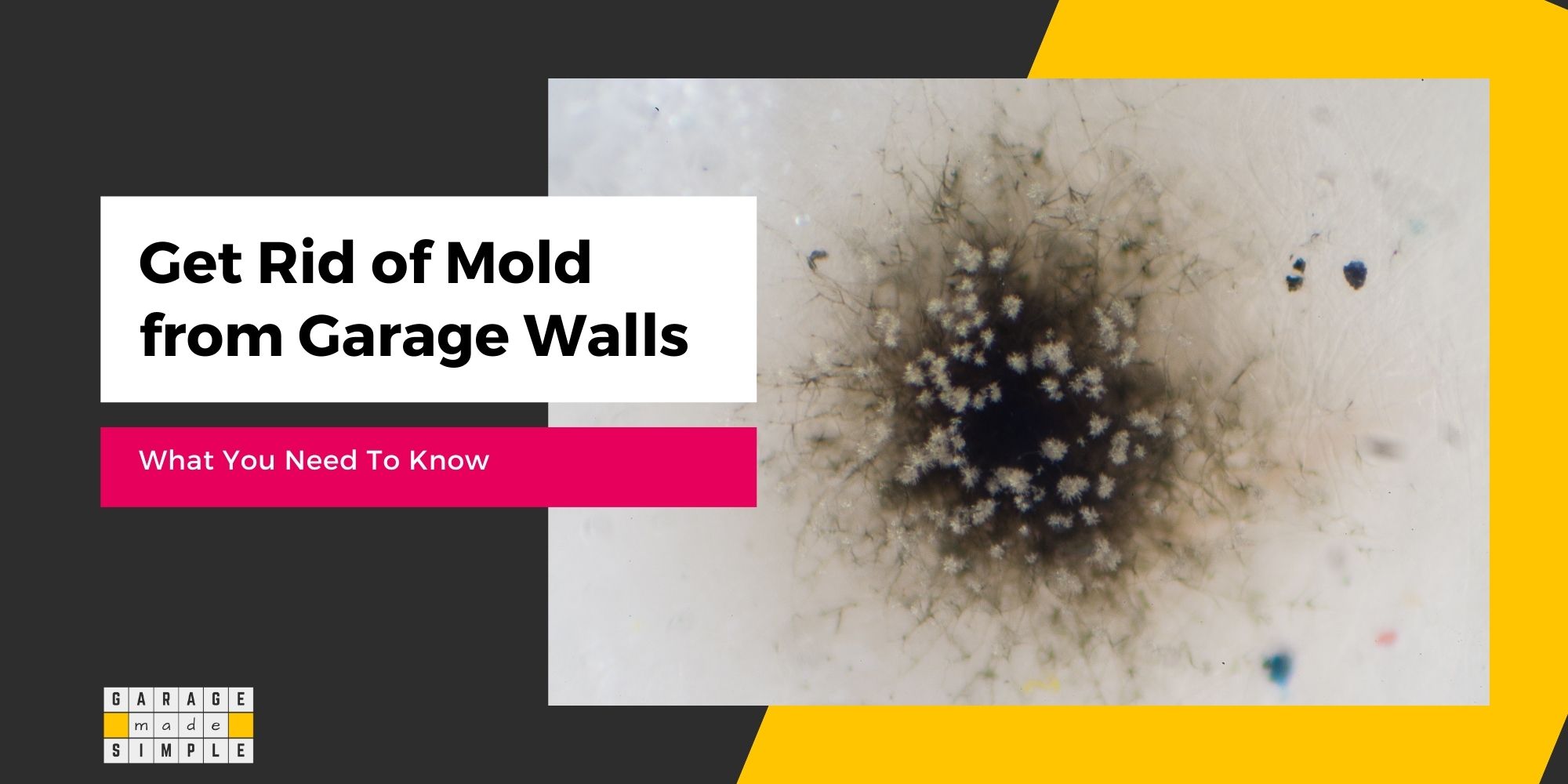 How To Get Rid Of Mold From Garage Walls? A Comprehensive Guide