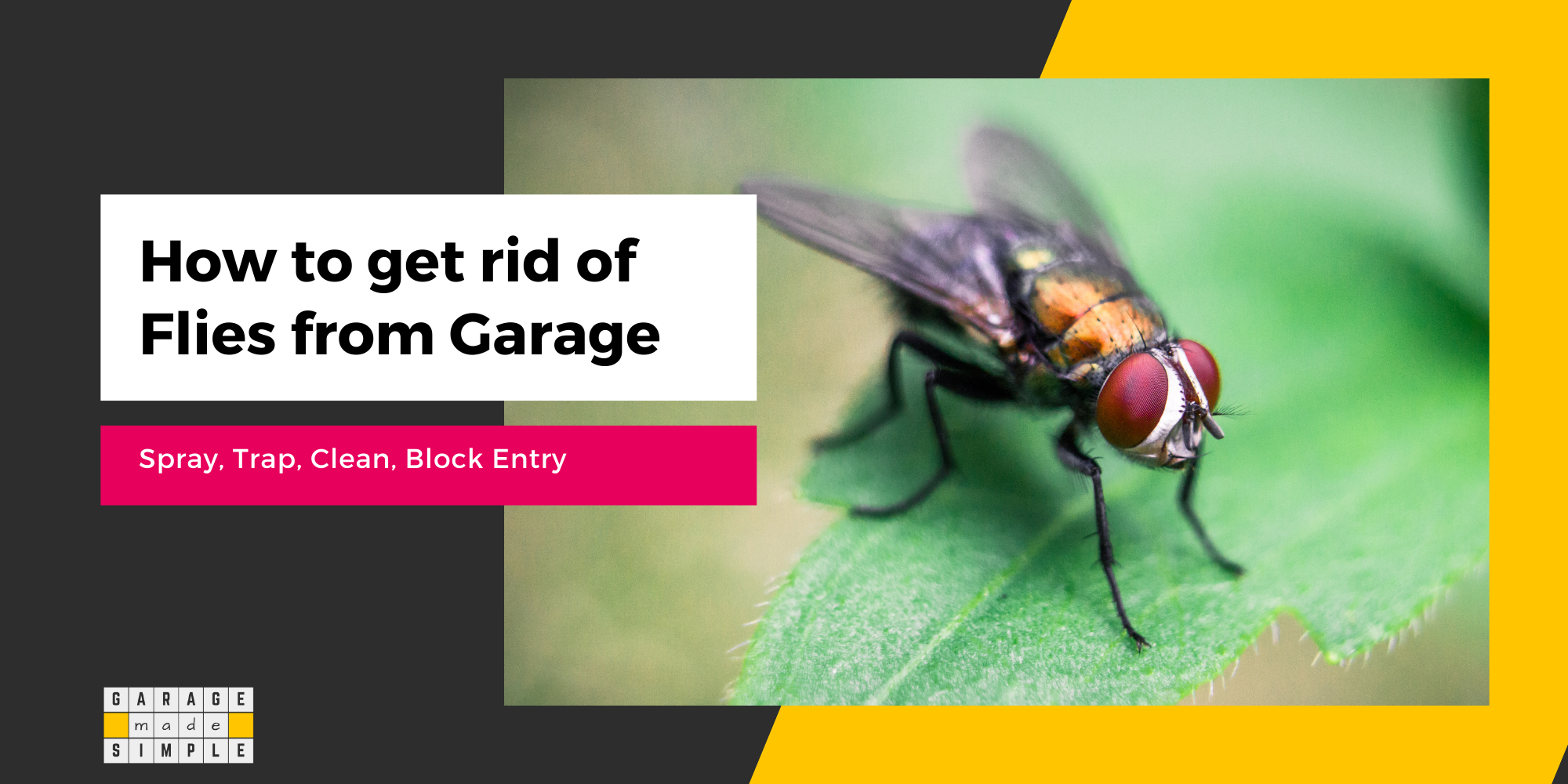 How to Get Rid of Flies in Garage? (15 Effective Ways!)