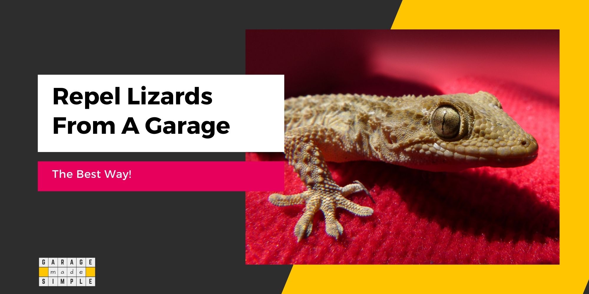 How To Repel Lizards From A Garage? A Comprehensive Guide