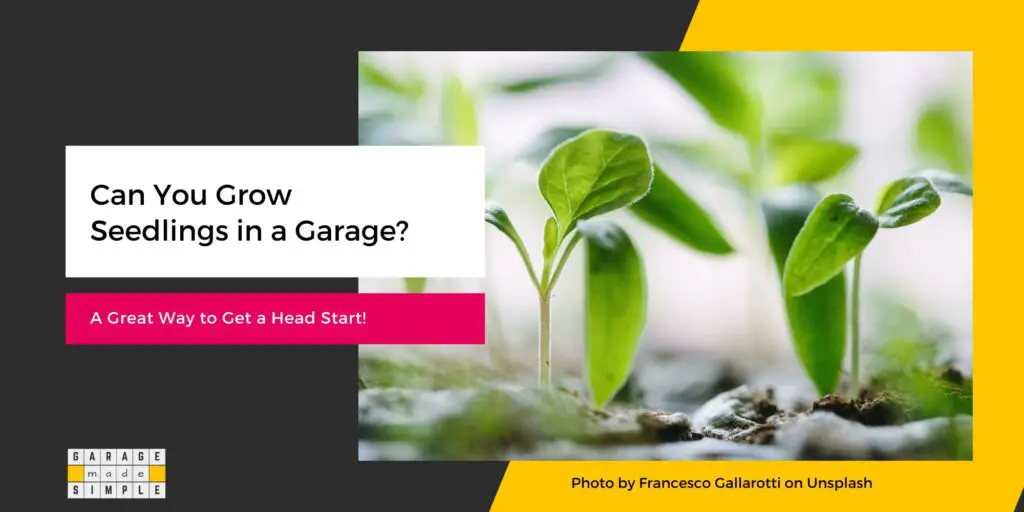 Grow Seedlings in a Garage