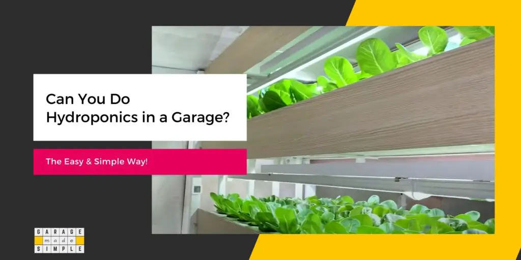 Can You Do Hydroponics in a Garage?