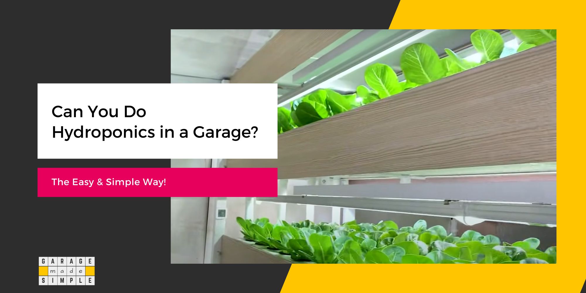 Can You Do Hydroponics in a Garage? Best Guide [2024]