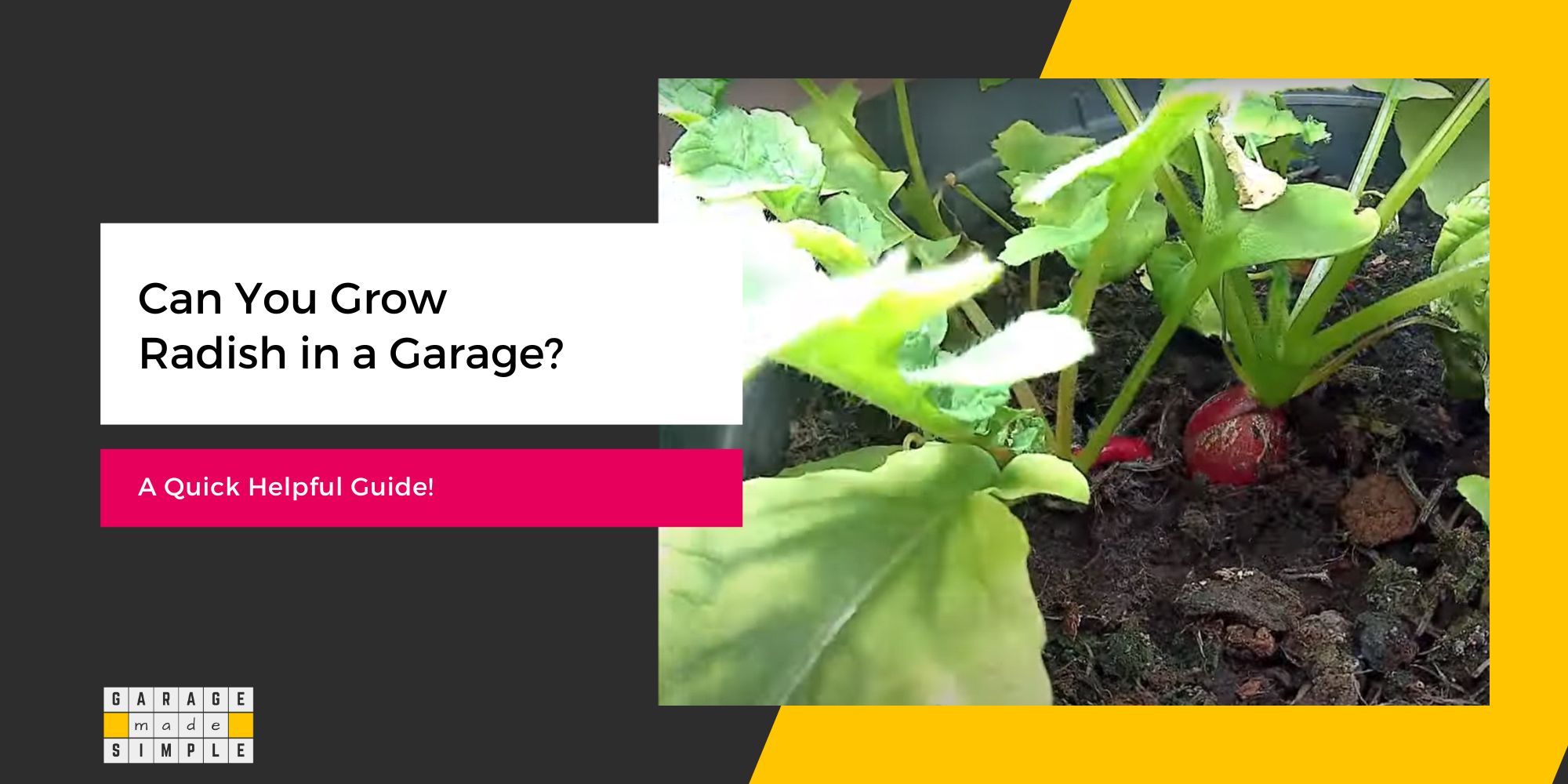 Can You Grow Radishes in a Garage? (A Quick Helpful Guide!)