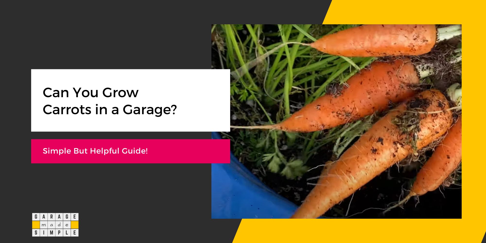Can You Grow Carrots in a Garage? Simple & Helpful Guide [2024]