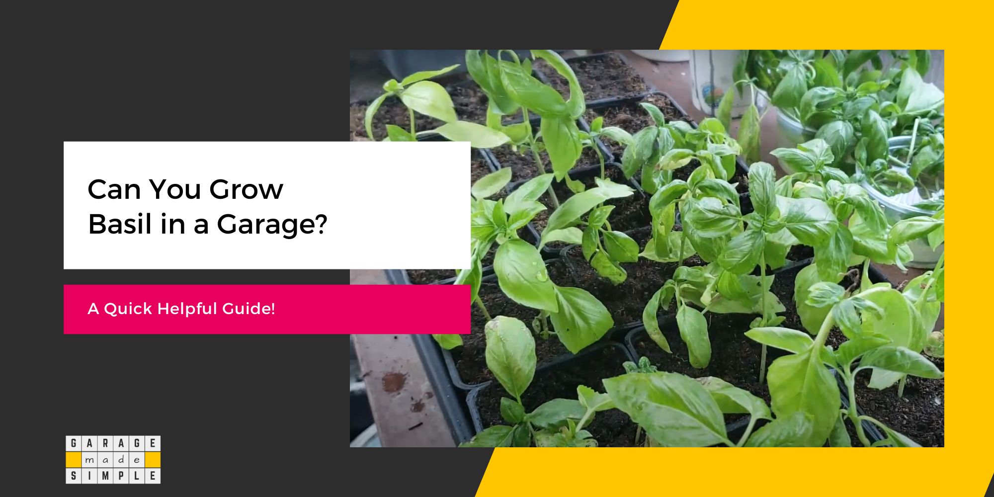 Can You Grow Basil in a Garage? (A Quick Helpful Guide!)