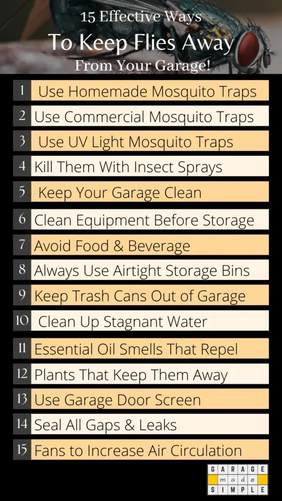Infographic on How to Get Rid of Flies in Garage?