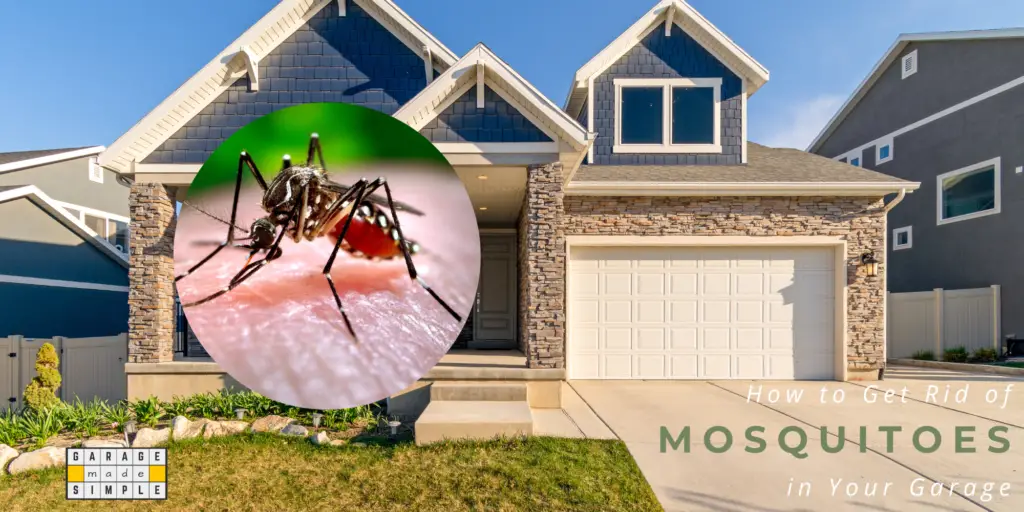 How To Get Rid of Mosquitoes in Your Garage?