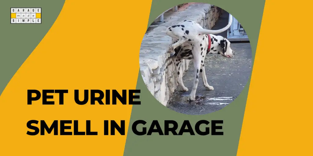 How do I get Rid of Pet Urine Smell in my Garage?